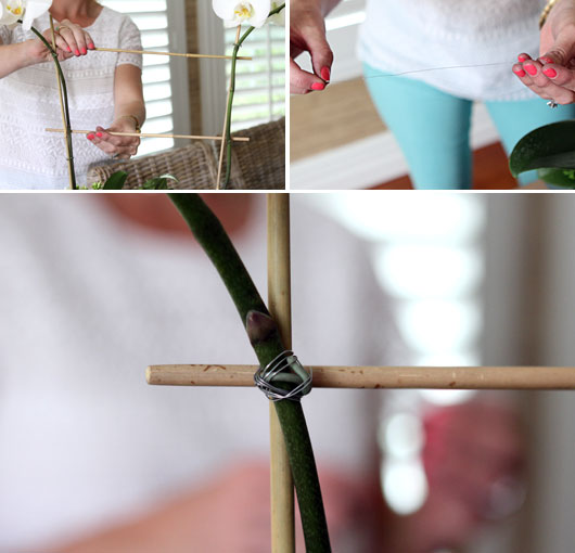 creating a cross trellis for an orchid with bamboo and florist wire 