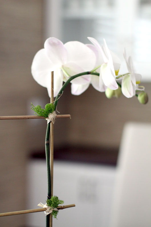 close up of white orchid tied to a bamboo stick with raffia and moss