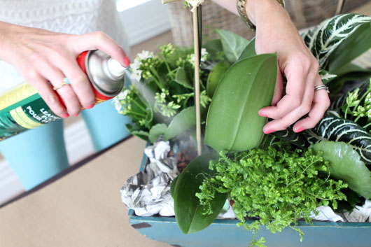 spray-plants-with-leaf-shine