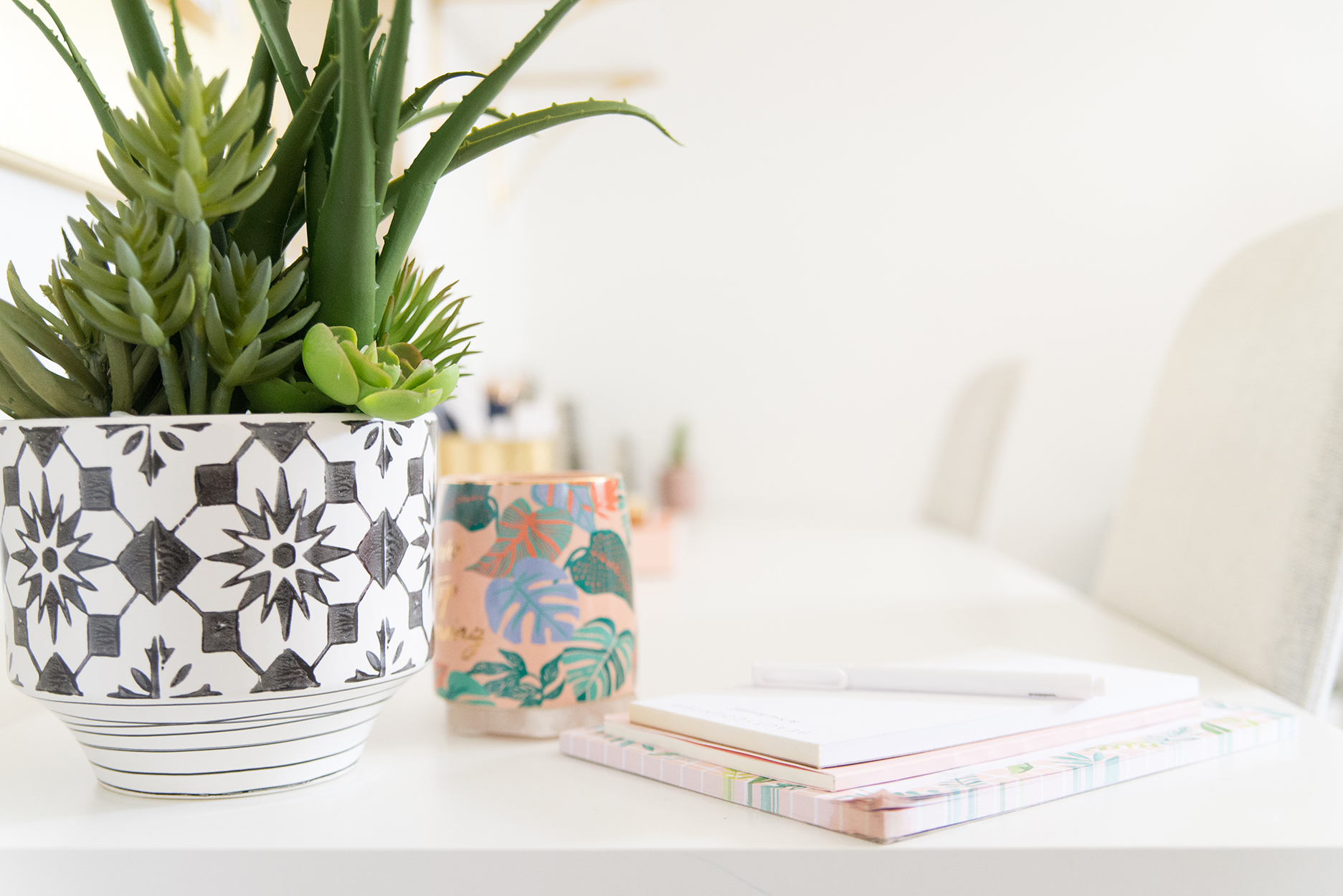 potted succulents in a black and white pot