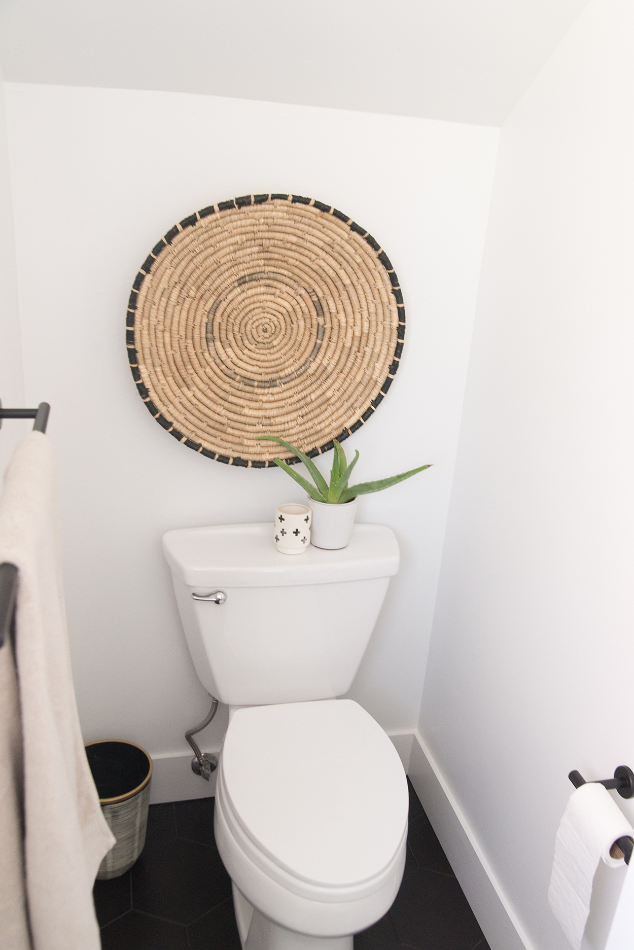 toilet with an aloe plant and wall art