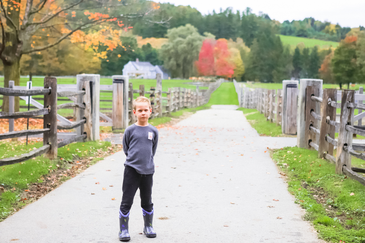 Young boy standing on a paved path at Billings Dairy Farm in Woodstock Vermont 