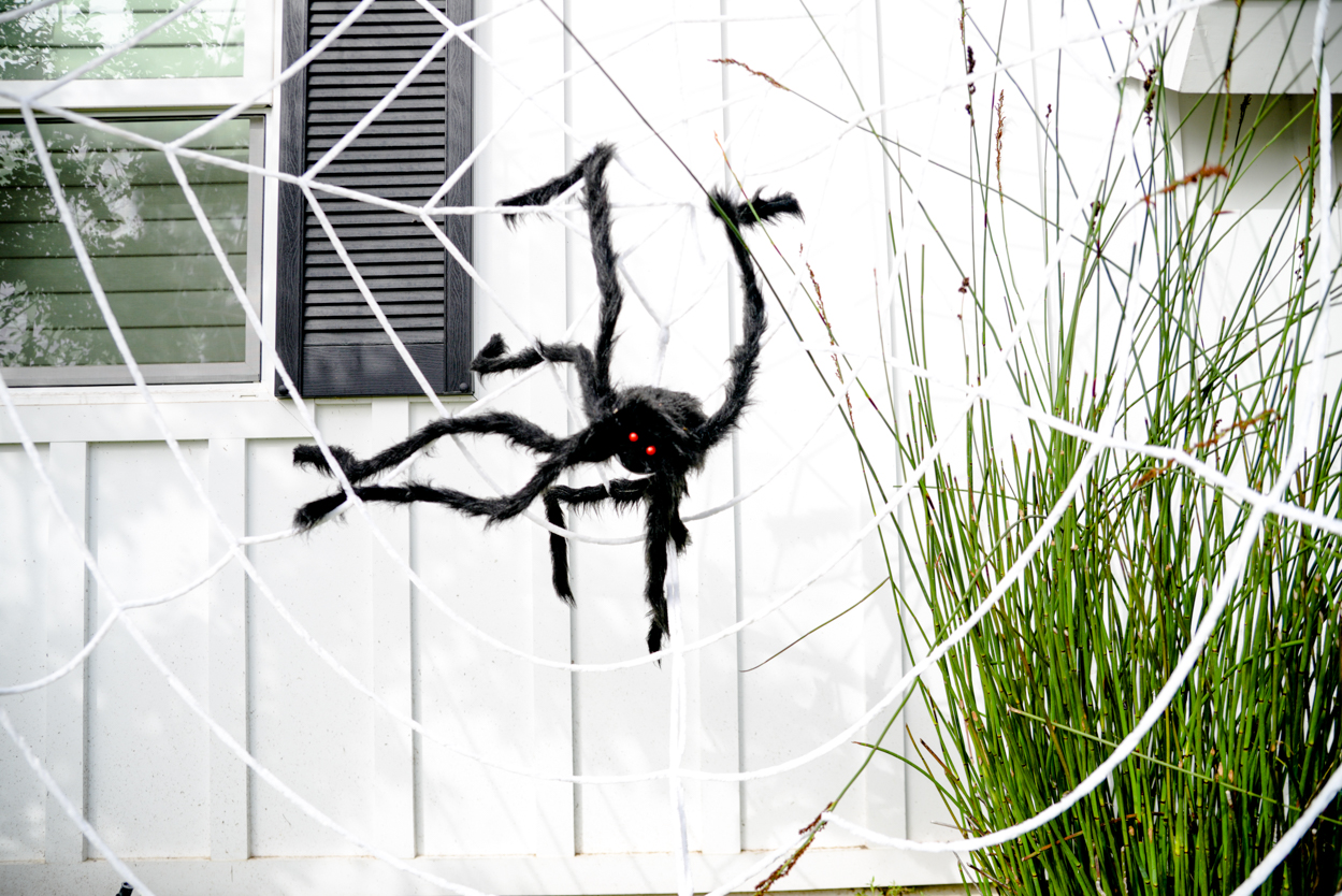 Oversized black fake fuzzy spider on a giant white web in front of a white farmhouse with black shutters 