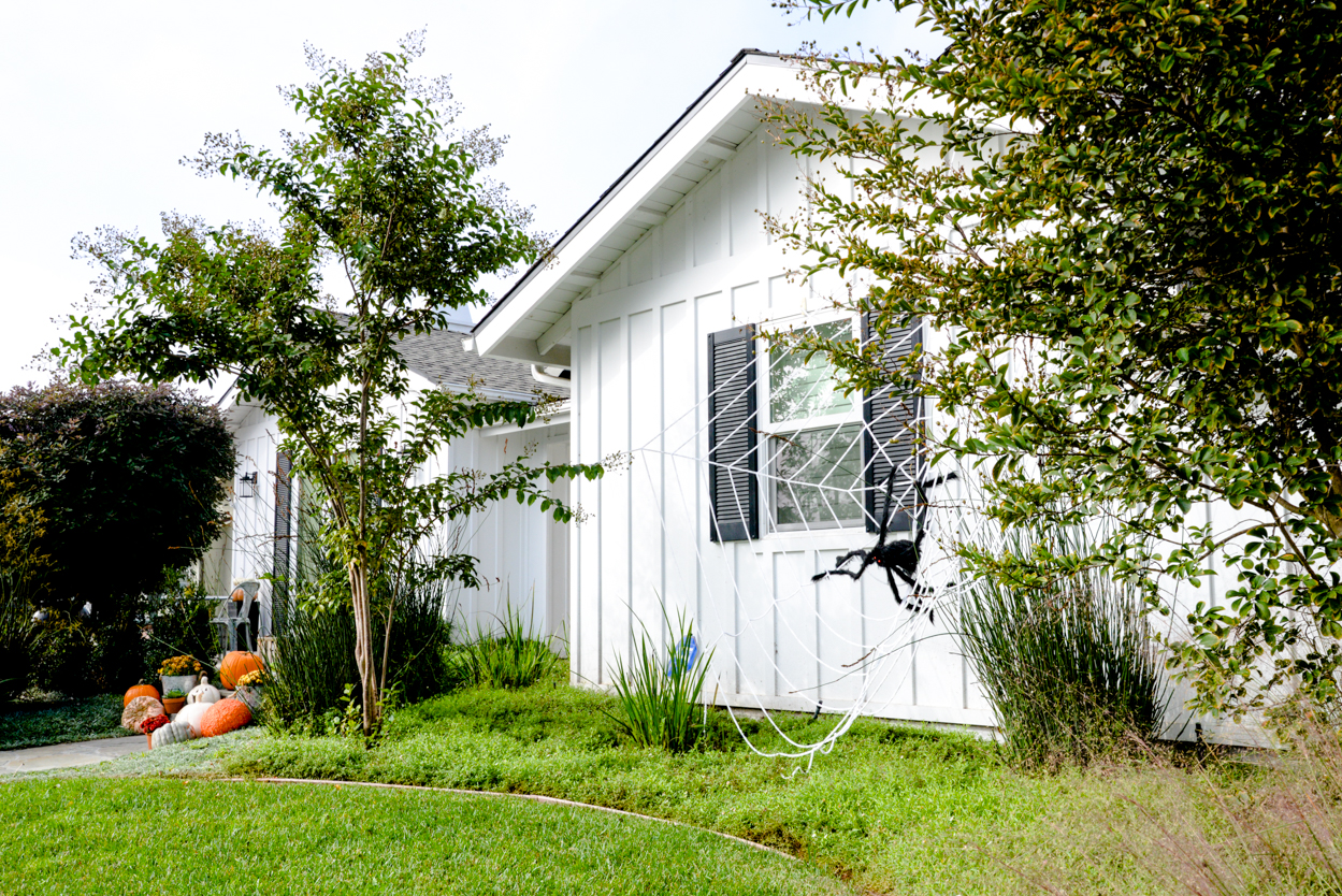 Oversized black fake fuzzy spider on a giant white web in front of a white farmhouse with black shutters 