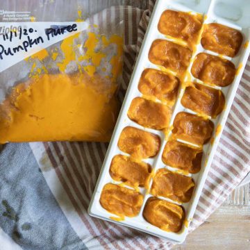 pumpkin puree in freezer bag and ice cube trays