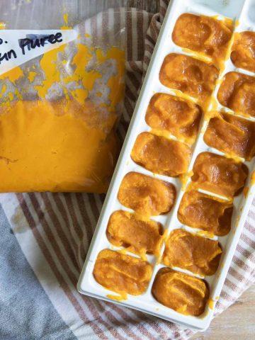 pumpkin puree in freezer bag and ice cube trays