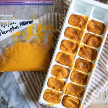 instant pot pumpkin puree spooned into ice cube trays and in freezer bag