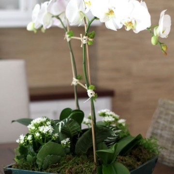 orchid centerpiece DIY on a wooden table