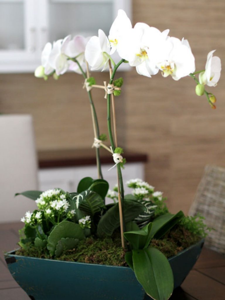 orchid centerpiece DIY on a wooden table