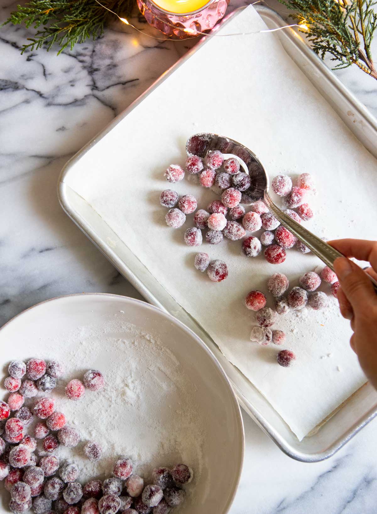 sugared cranberries placed on a baking tray