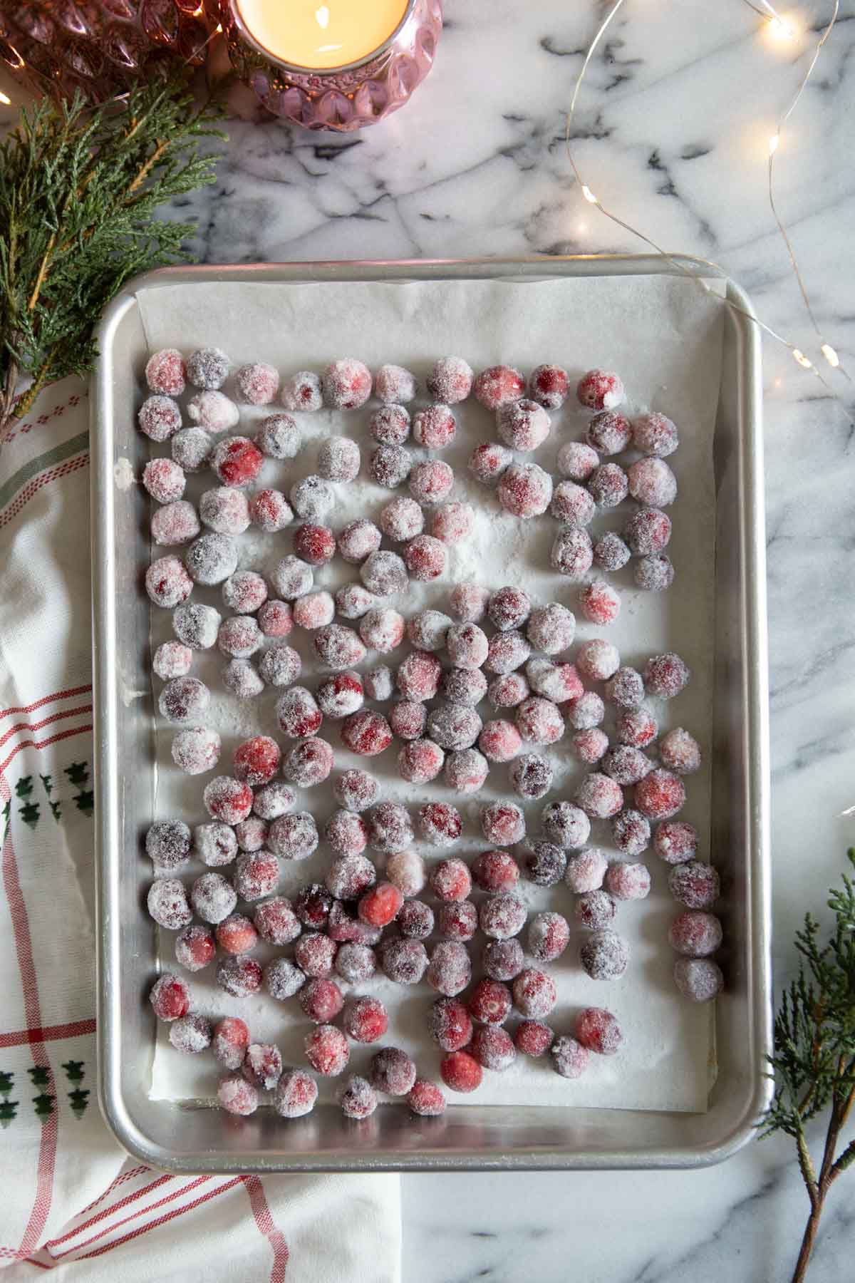 sugared cranberries drying on a baking sheet