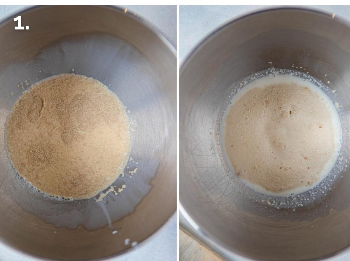 yeast activating in warm milk in a stainless mixing bowl