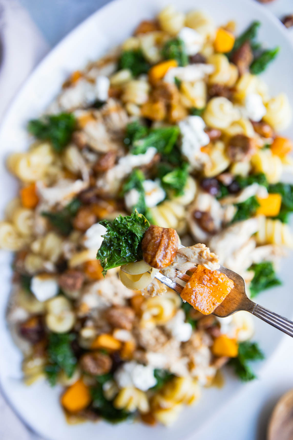 hearty and healthy chicken pasta salad with seasonal Fall ingredients