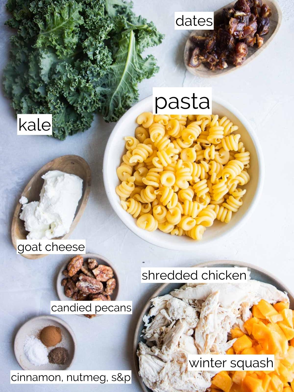 raw ingredients to make a fall pasta salad