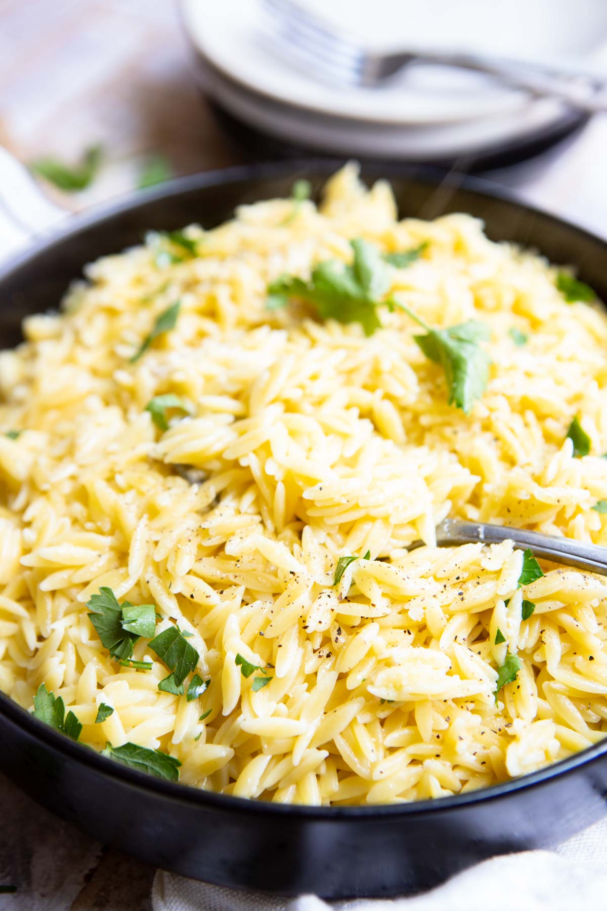 Serving spoon resting inside a serving bowl of instant pot orzo.