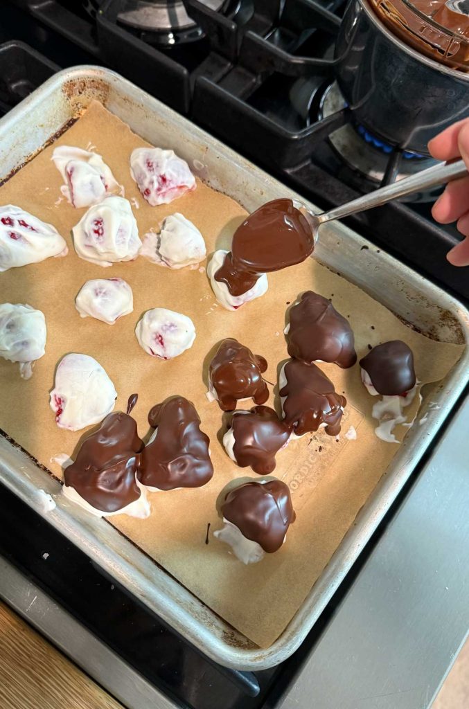 yogurt covered strawberries with melted chocolate drizzled on top