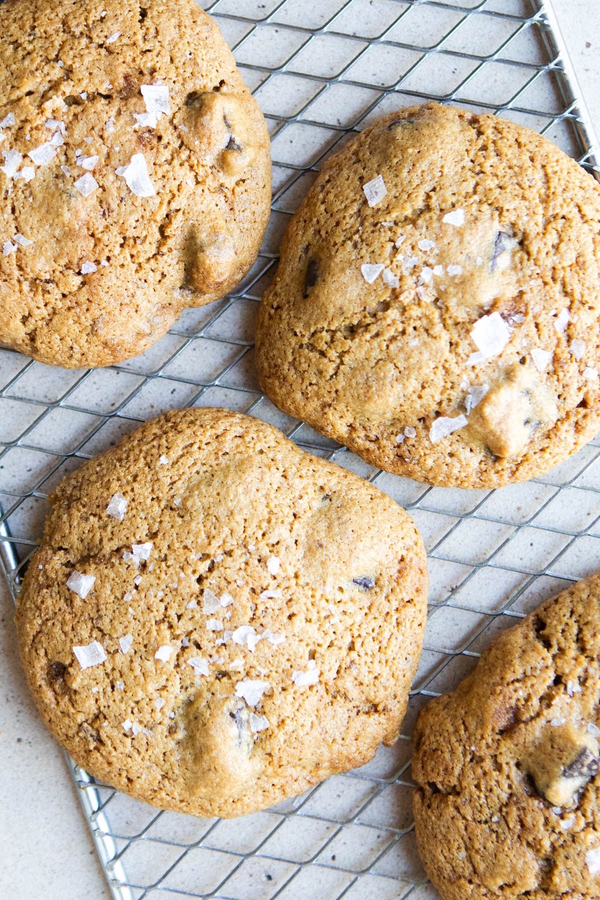 oat flour and olive oil chocolate chip cookies sprinkled with flaky salt, set on a metal tray